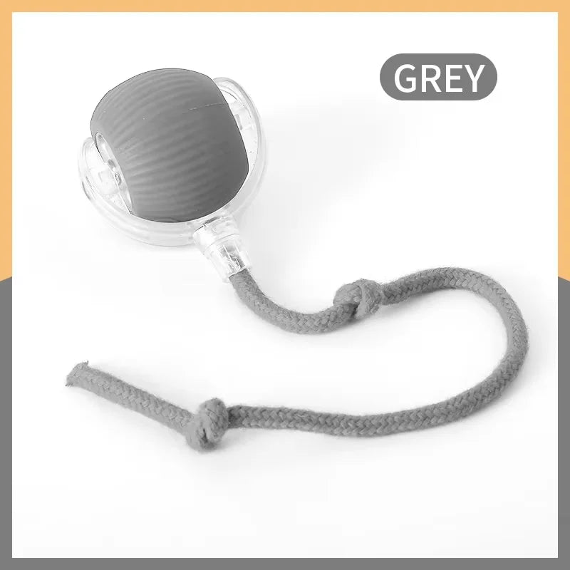 Hot cat toys are automatically teasing cat balls and self-exciting cat sticks and ticks and resistant to wear and bite pet toys