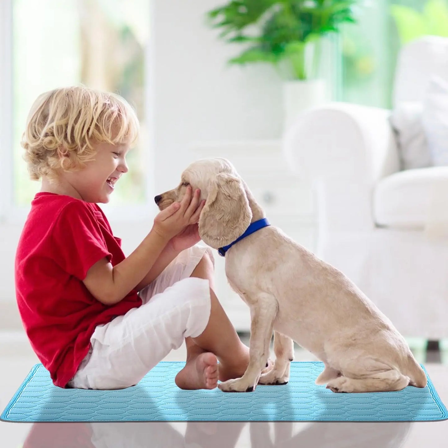 Summer Dog Cooling Mat Pet Cold Bed Extra Large for Small Big Dogs Pet Accessories Cat Durable Blanket Sofa Ice Pad Blanket