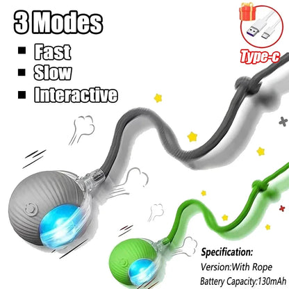 Cat Interactive Ball Toy Automatic Rolling Ball Faux Tail Rechargeable Pet Electric Toy Dog Cat Training Imitate Mouse Products